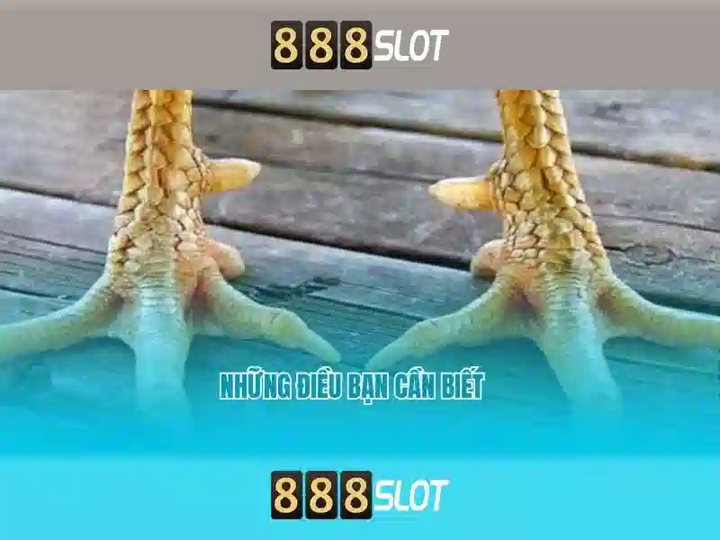 888slot: Tổng quan về nền tảng trò chơi slots trực tuyến