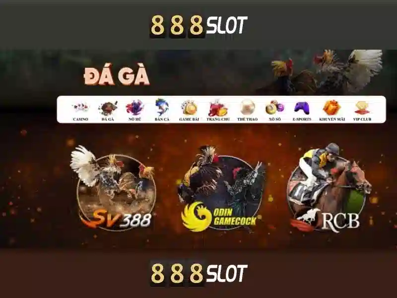Kết luận