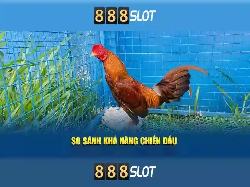 download 888slot apk – Tổng quan chủ đề và giá trị cốt lõi download 888slot apk – Tổng quan chủ đề và giá trị cốt lõi