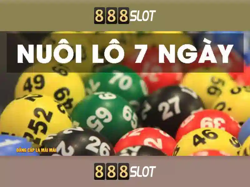 Trải nghiệm người dùng và thiết kế Trải nghiệm người dùng và thiết kế