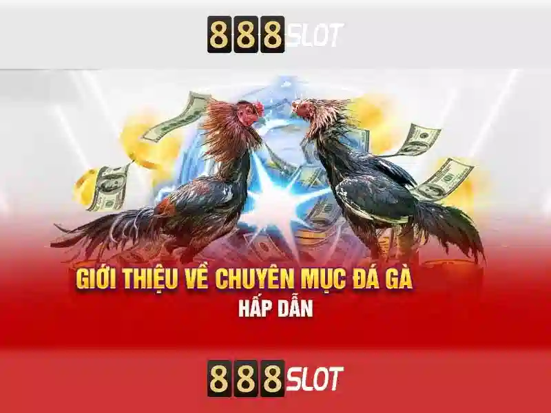 888slot - Đánh giá nền tảng casino trực tuyến