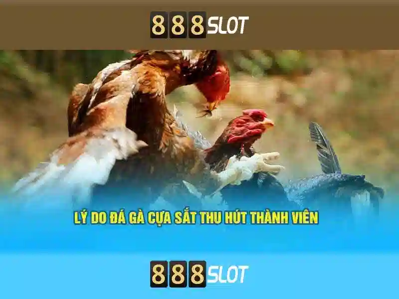 888slot - Trải nghiệm casino slot trực tuyến đáng tin cậy