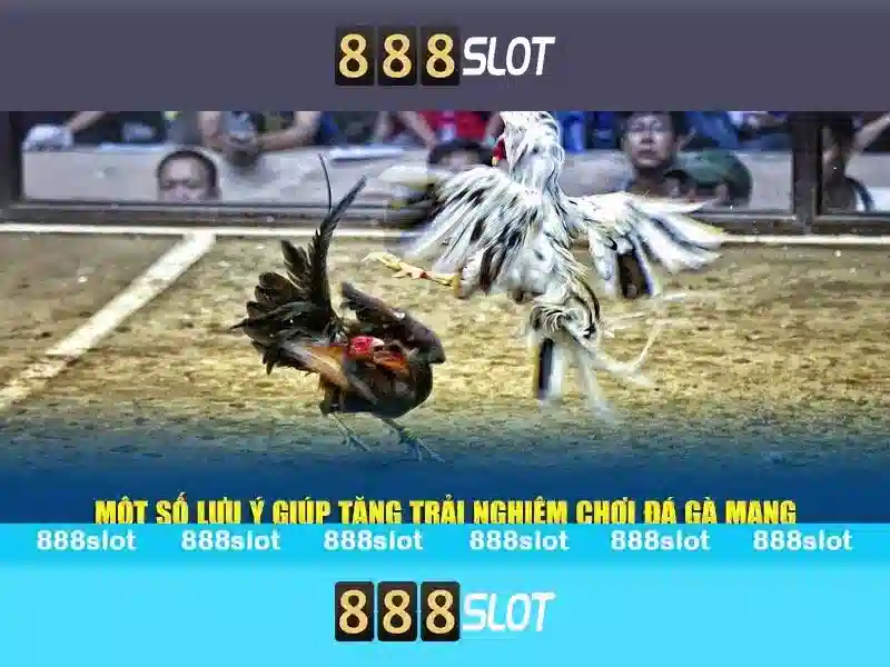 Trò chơi và máy đánh bạc Trò chơi và máy đánh bạc