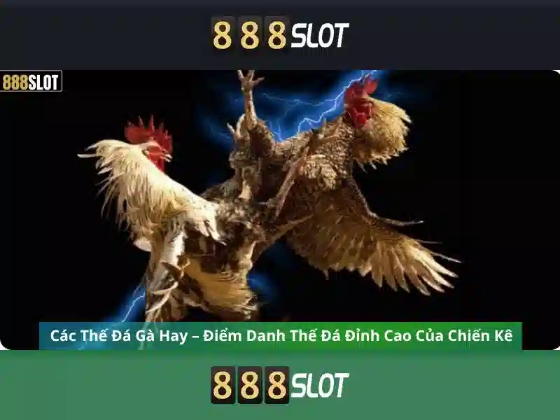 888slot - Đánh giá, trò chơi và trải nghiệm người dùng