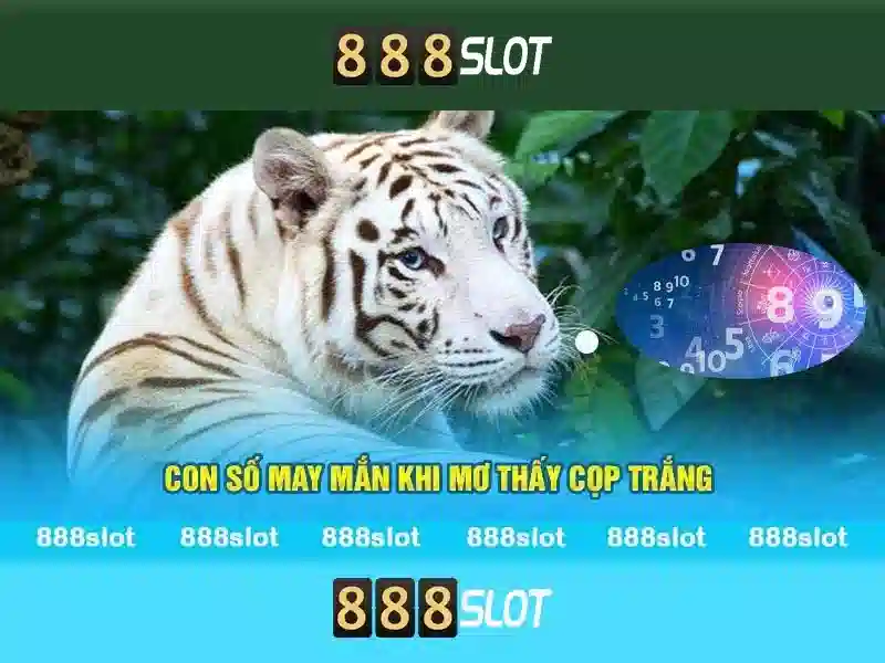 888slot - trải nghiệm casino slot trực tuyến tuyệt vời