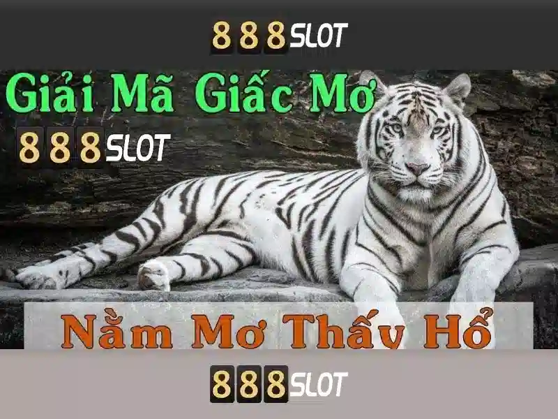 Trải nghiệm người dùng và hỗ trợ Trải nghiệm người dùng và hỗ trợ