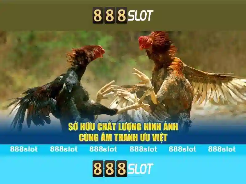 Giao diện và trải nghiệm người dùng