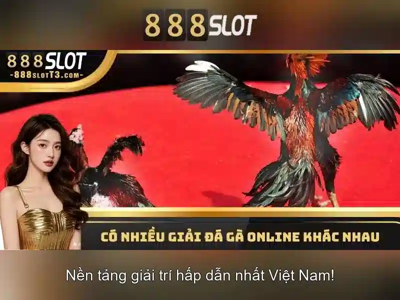 Hướng dẫn tham gia và truy cập