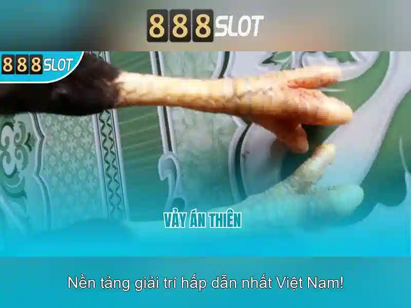 888slot - Đánh giá nền tảng chơi xèng trực tuyến hàng đầu