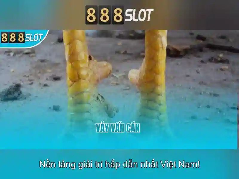 888slot — giới thiệu về nền tảng slot trực tuyến