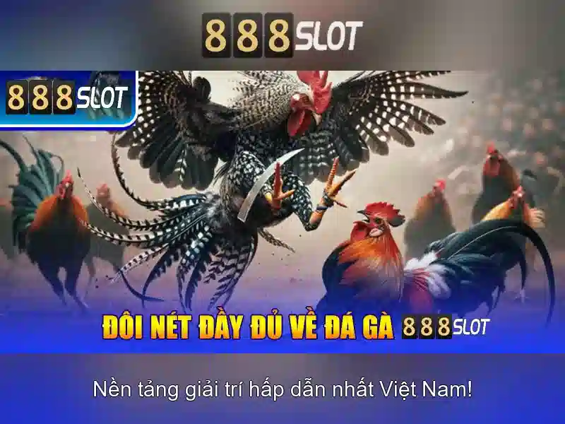 Trải nghiệm người dùng và giao diện