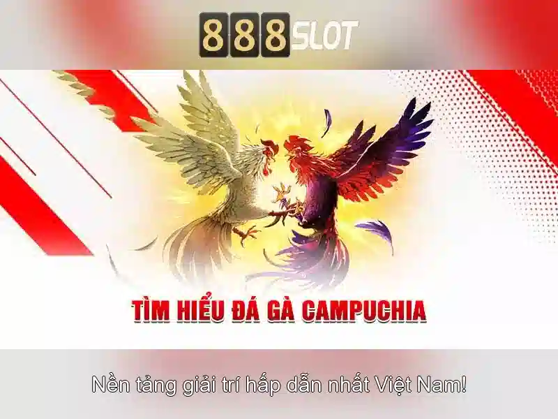 888slot: Đánh giá tổng quan về nền tảng đánh bạc trực tuyến