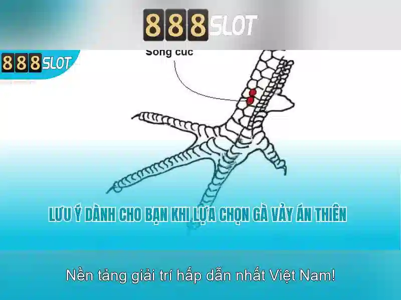 888slot: Khám phá nền tảng casino trực tuyến hàng đầu